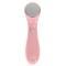 Ionic Vibration Facial Massager